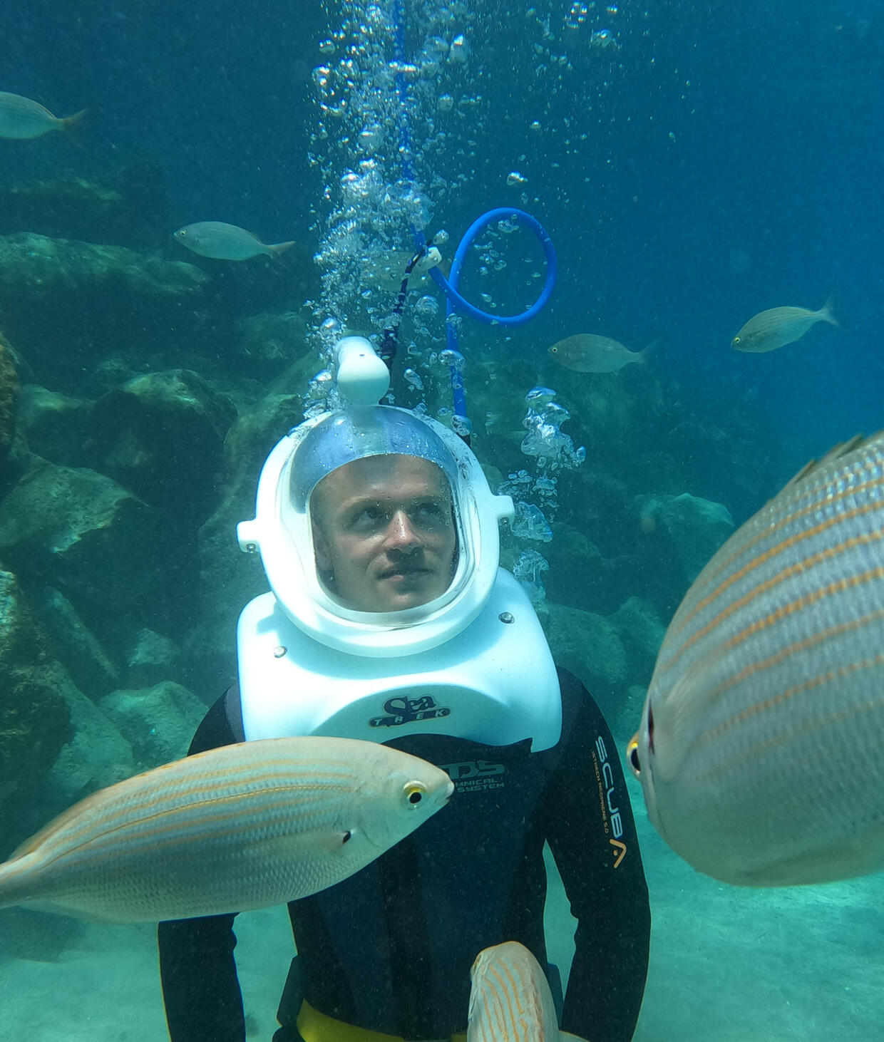 Scuba Diving